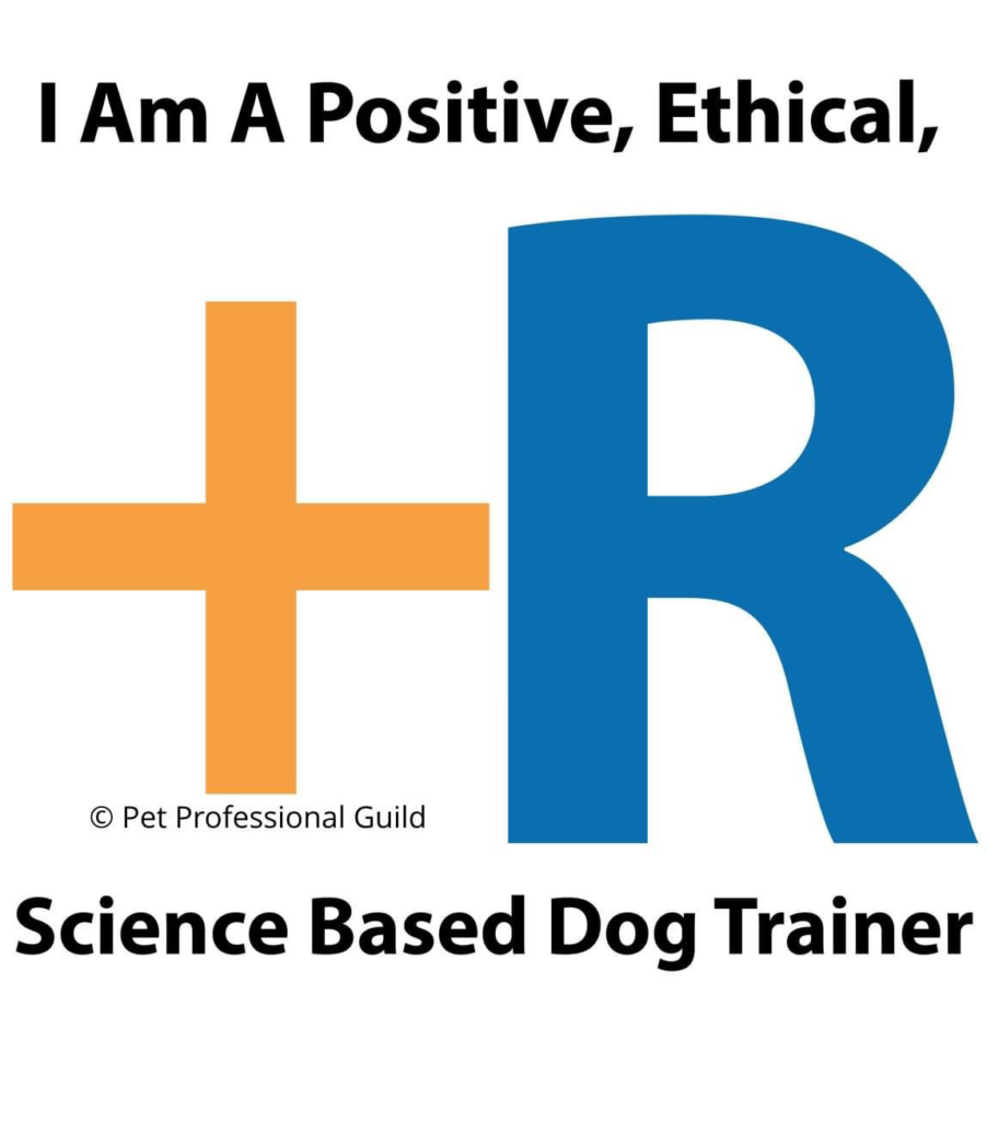 éducation canine, éducateur canin, comportementaliste, rééducation comportementale, TMC, cours chiens, cours chiots, dog training, Genève
